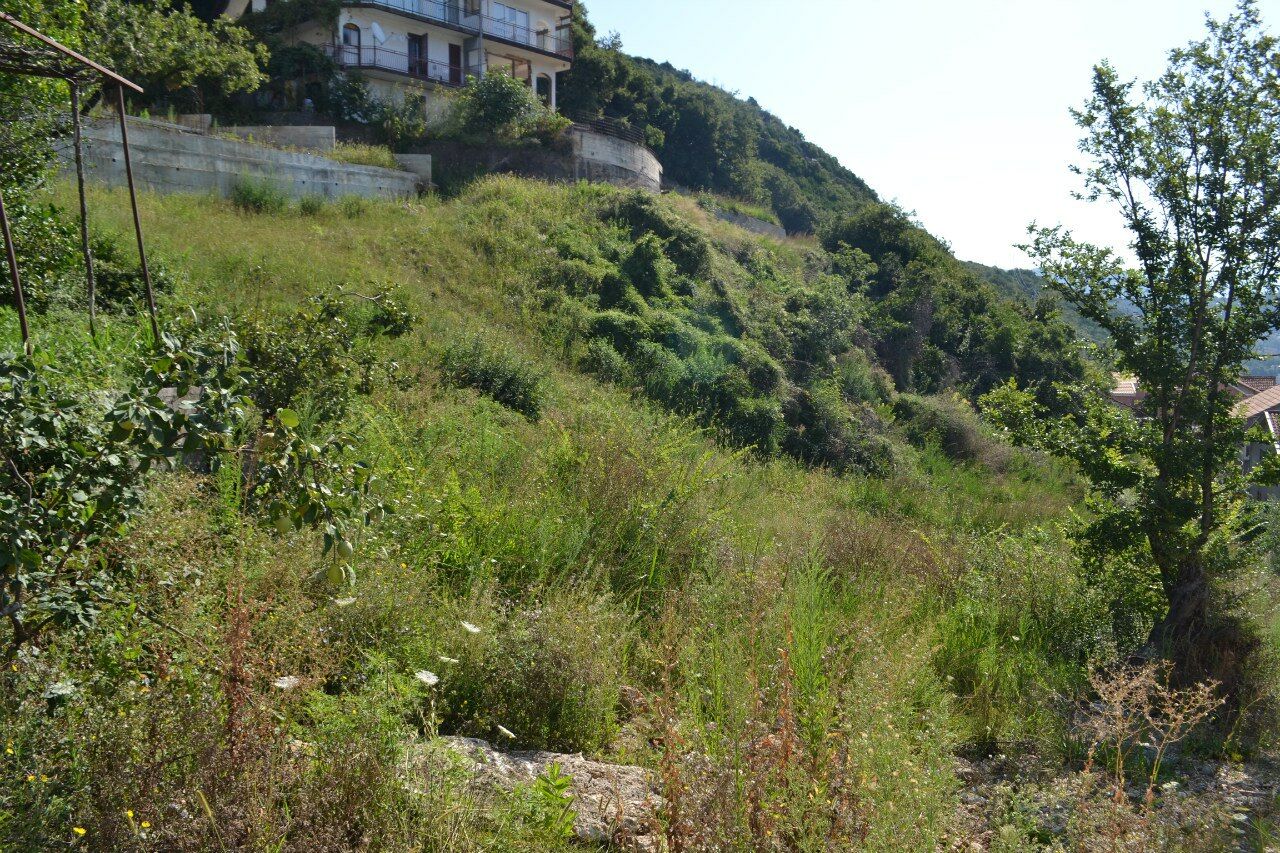 Grundstück in Herceg Novi Nr. 133