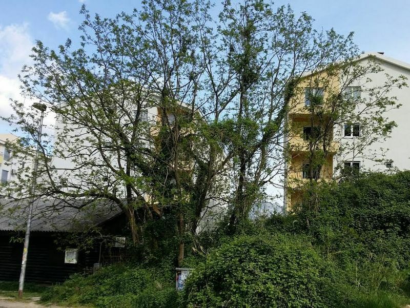 Квартира в Будве №303